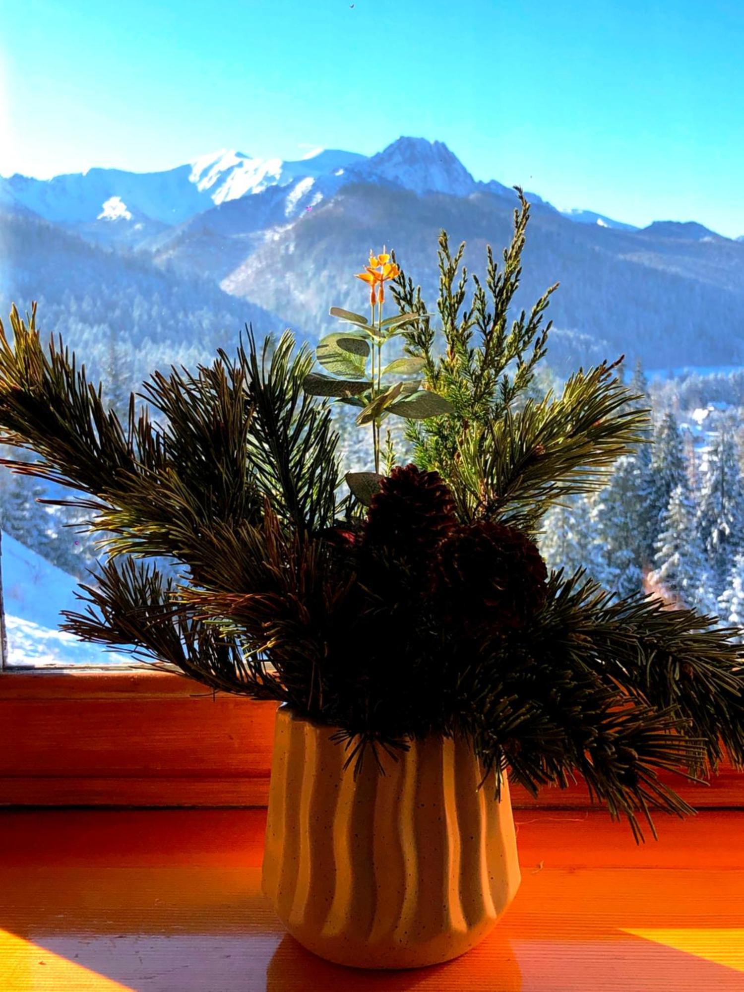 Krzysztoforow Zakopane